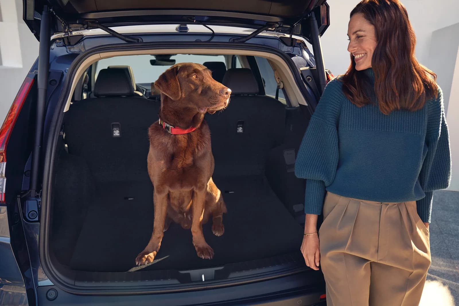 Honda CR-V — portbagajul deschis, cu un câine înăuntru